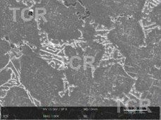 Metallography