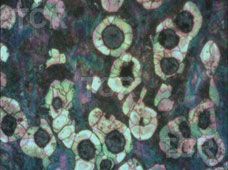 Metallography