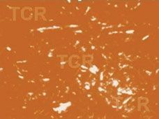 Metallography